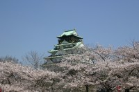 お花見で大阪のおすすめスポット 人気名所 大阪市内＆郊外 開花予想時期