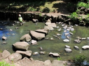 関西の水遊びレジャースポット・川遊び・キャンプ場・バーベキュー